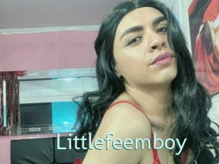 littlefeemboy Straponles