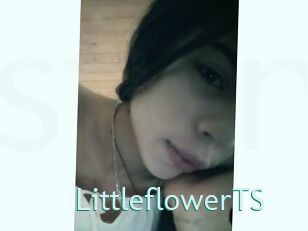 LittleflowerTS