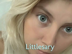 Littlesary