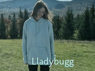 Lladybugg