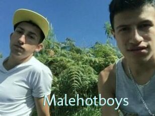 Malehotboys