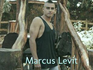 Marcus_Levit