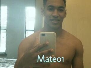 Mateo1
