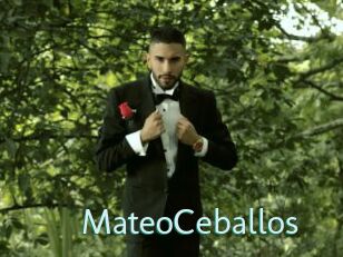 MateoCeballos