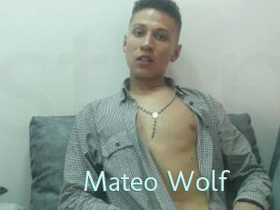 Mateo_Wolf