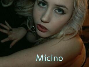 Micino