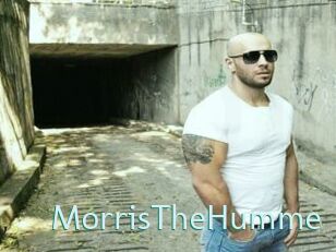 MorrisTheHumme