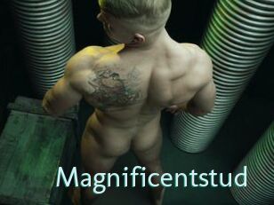 Magnificentstud