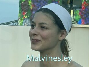 Malvinesley