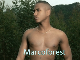 Marcoforest