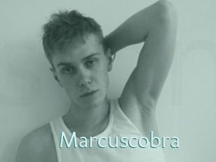 Marcuscobra
