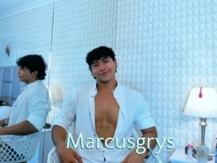 Marcusgrys