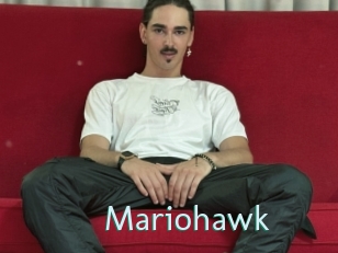 Mariohawk