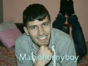 Mariohornyboy