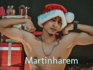 Martinharem