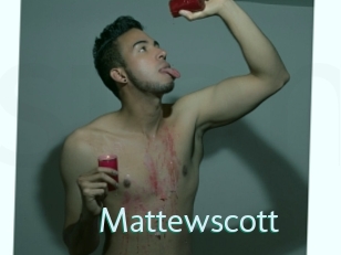 mattewscott Straponles