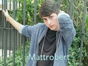 Mattrobert
