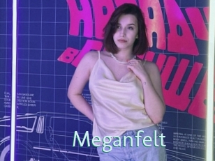 Meganfelt