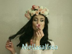 Meilssalissa
