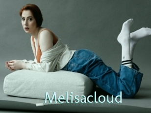 Melisacloud