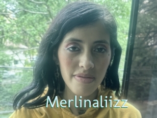 Merlinaliizz