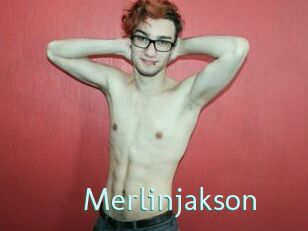 Merlinjakson