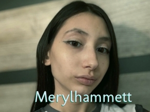 Merylhammett