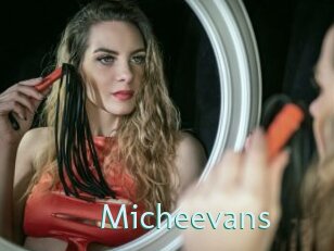 Micheevans