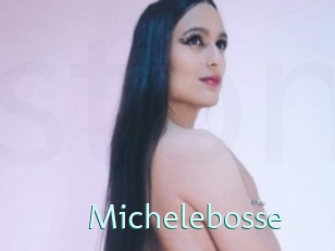 Michelebosse