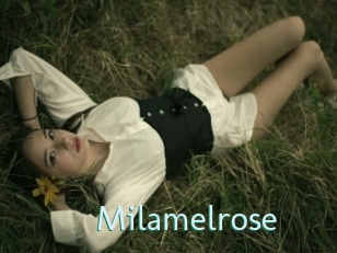 Milamelrose