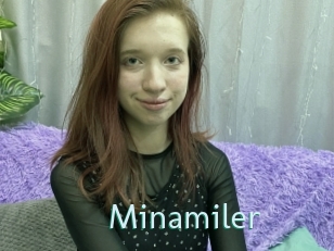 Minamiler