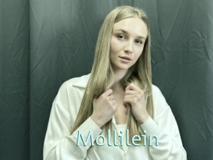 Mollilein