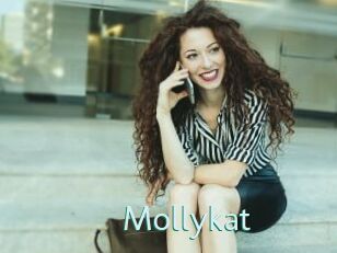 Mollykat
