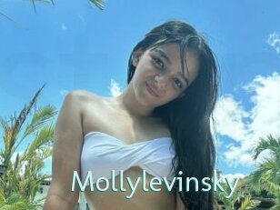 Mollylevinsky