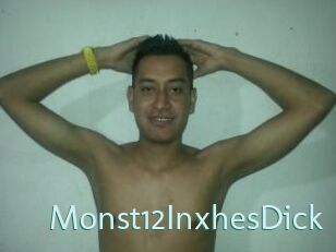 Monst12InxhesDick