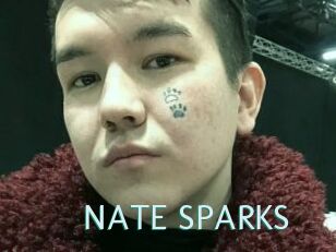 NATE_SPARKS