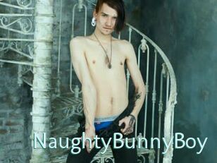 NaughtyBunnyBoy