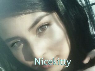 Nicekitty