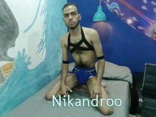 Nikandroo