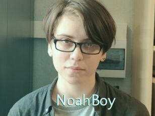NoahBoy