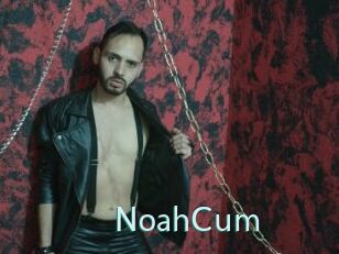 NoahCum