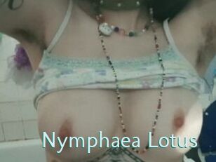 Nymphaea_Lotus