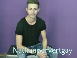 Nathanpervertgay