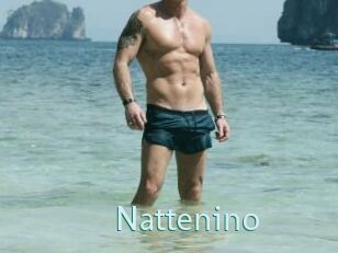 Nattenino
