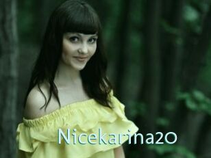 Nicekarina20