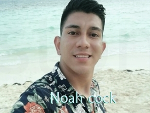 noah_cock Straponles