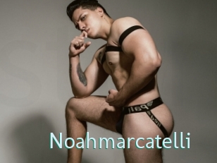 noahmarcatelli Straponles