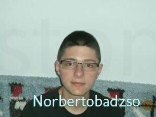 Norbertobadzso