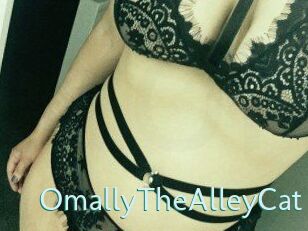 OmallyTheAlleyCat