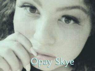 Opay_Skye